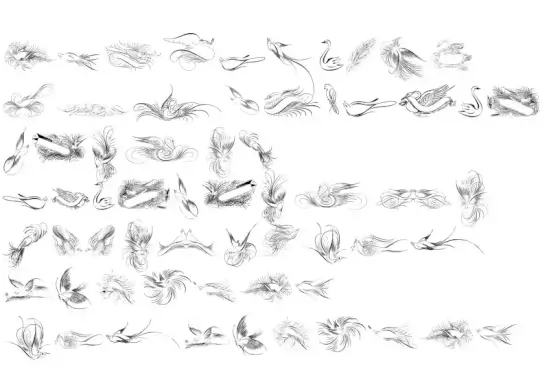 Penmanship Birds