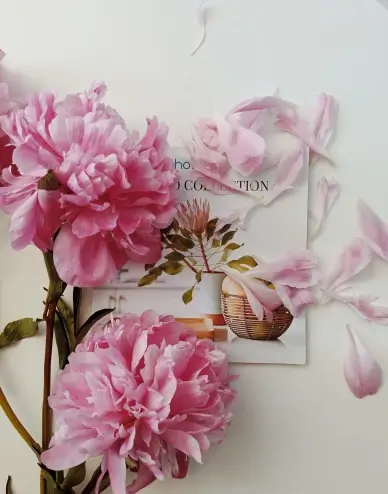 Peony houseplant picture bright elegance