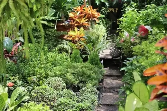 philippine garden