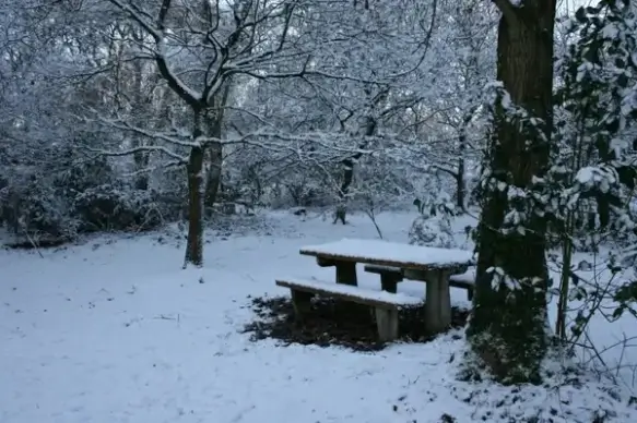 picnic bench in snow
