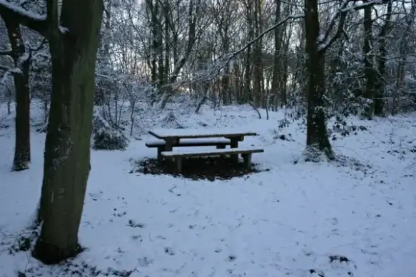 picnic bench in snow 2