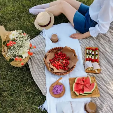 picnic picture elegant food preparation 