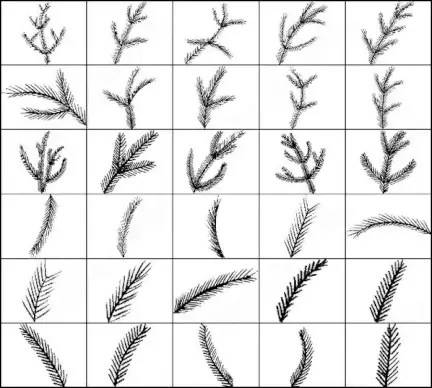 pine brush