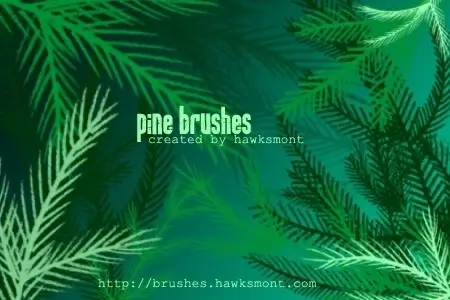 Pine Brushes - MEGA PACK