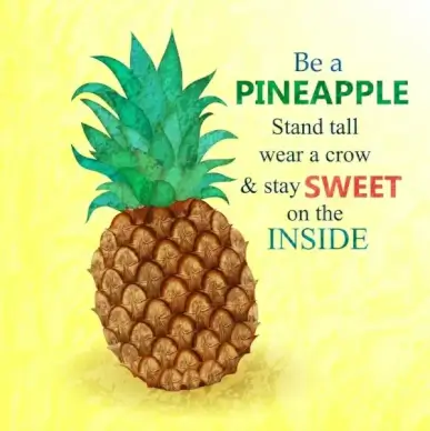 pineapple advertisement colorful flat design retro style
