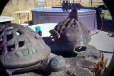 pinhole pals of the puddles