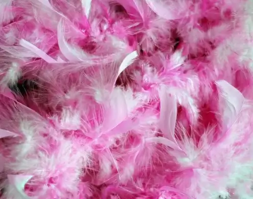 pink feathers background