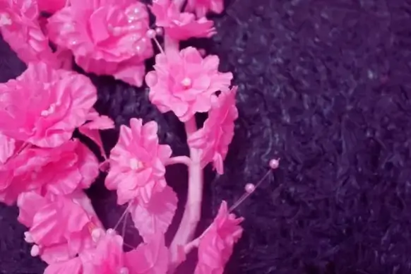 pink flower 2