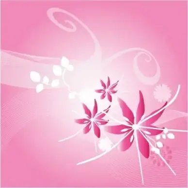 Pink lily