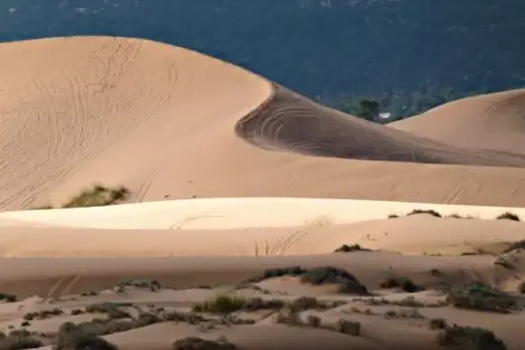 pink sand dunes utah usa