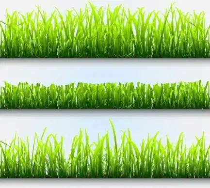 plant 02 vector