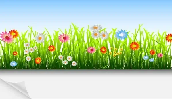 plant 03 vector