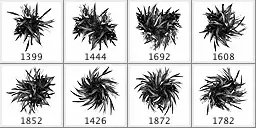 Plant Brushes