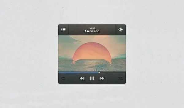 Player Widget