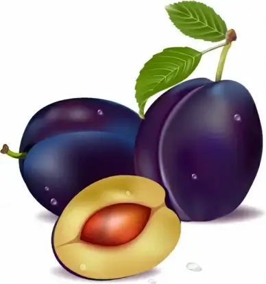 plum and leaves