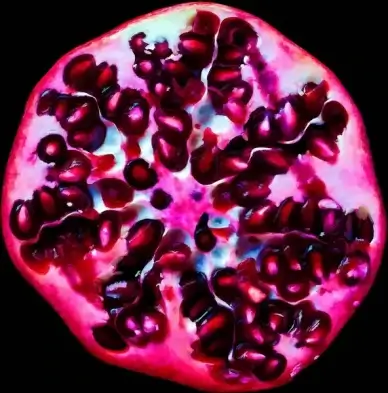 pomegranate merry christmas and happy new year flickr friends
