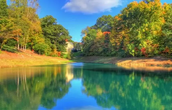 pond and trees in st louis missouri