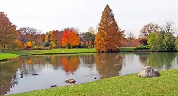 pond in park