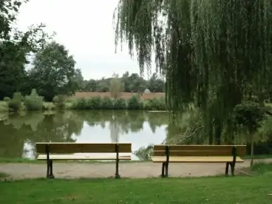 pond sun water