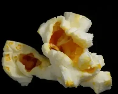 pop
