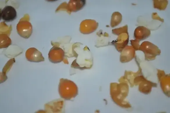 popcorn remnant