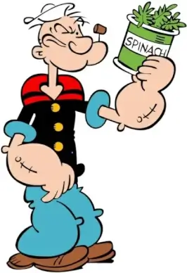 popeye popeye vector