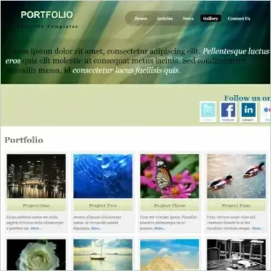  portfolio