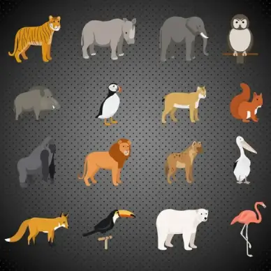 precious animals icons vector illustration