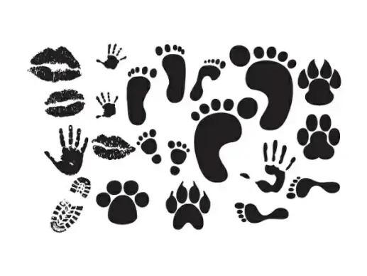
								Print Vectors							