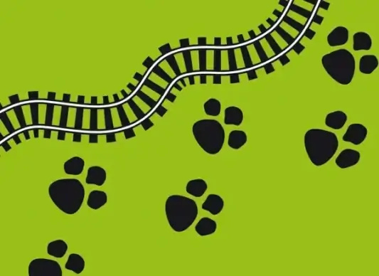 prints next to track