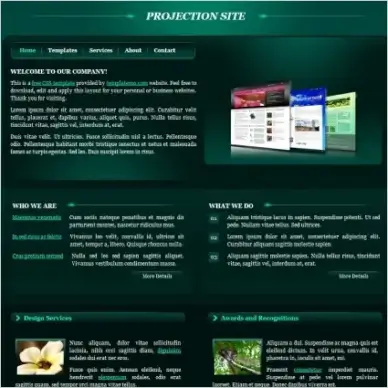  projection