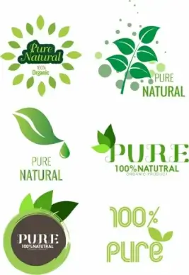 pure product logo template green leaf design