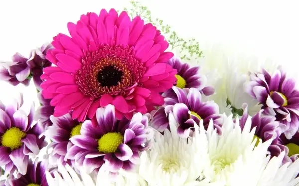 purple flower bouquet