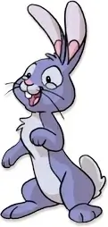 Rabbit