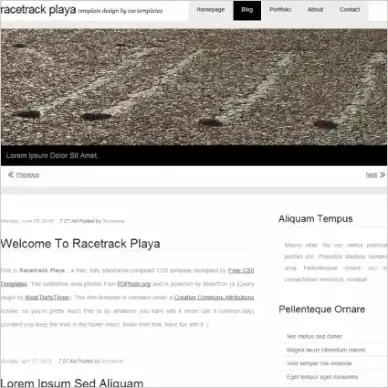 race track playa