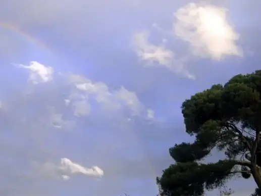 rainbow