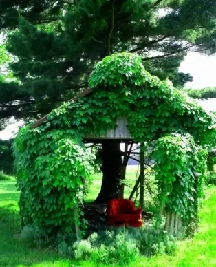 red chair