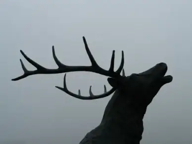 red deer bronze statue hirsch