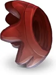 Red Gear