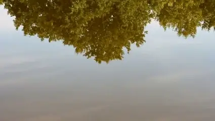 Reflection