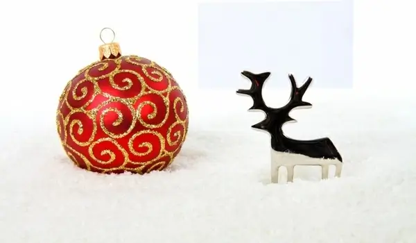 reindeer with bauble