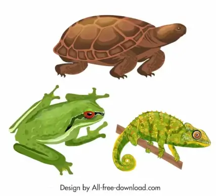 reptile animals icons colored turtle frog gecko sketch