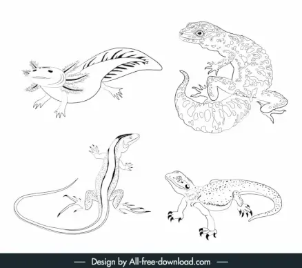 reptile coloring book design elements black white handdrawn sketch