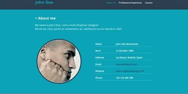 Resume Website PSD Mockup