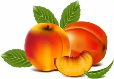 Ripe peach fruit with green leaves