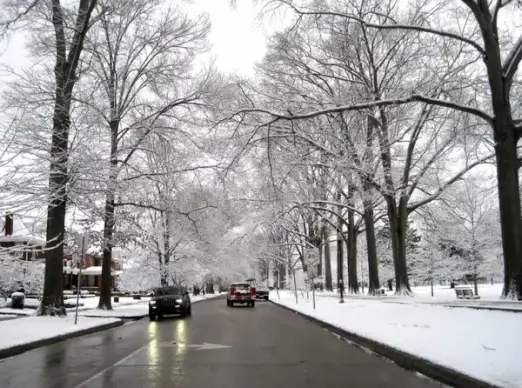 ritter park in the snow