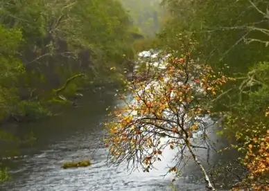 river affric 4