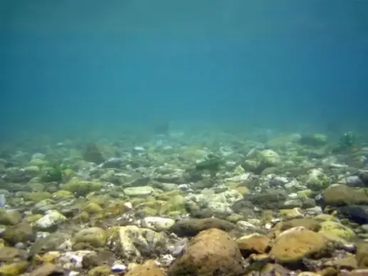 river bottom