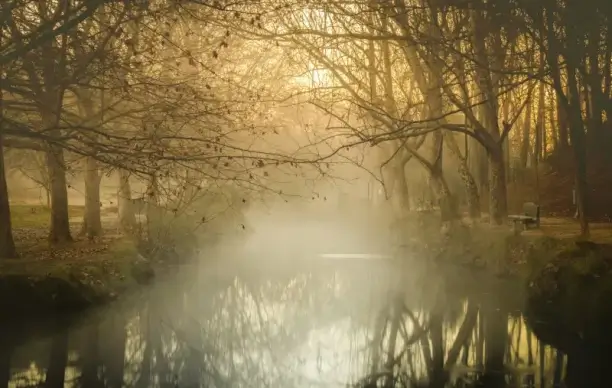 river view picture tranquil trees water scene