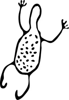 Rock Art Mutawintji Animal